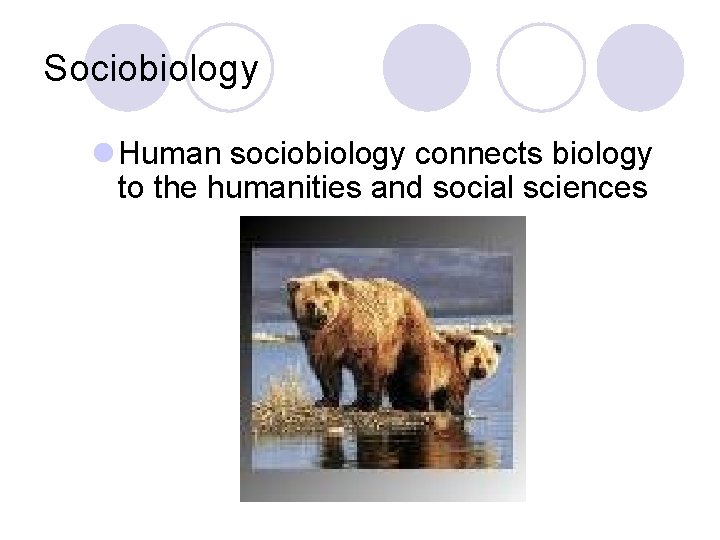 Sociobiology l Human sociobiology connects biology to the humanities and social sciences Sociobiology l Human sociobiology connects biology to the humanities and social sciences