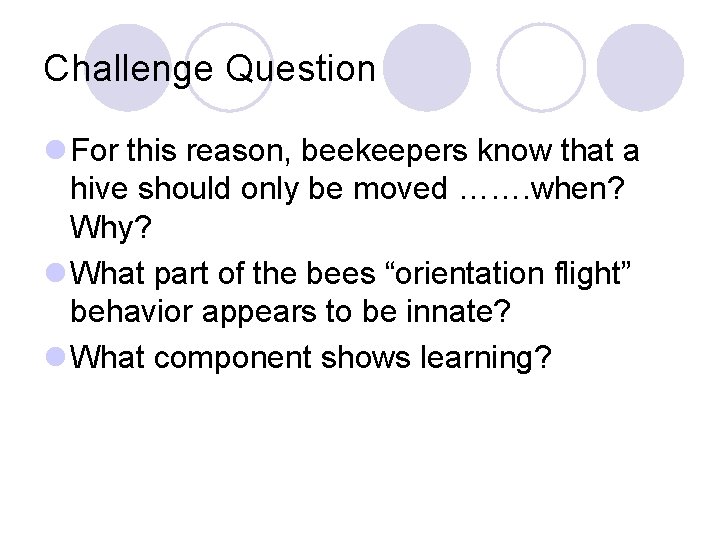Challenge Question l For this reason, beekeepers know that a hive should only be Challenge Question l For this reason, beekeepers know that a hive should only be