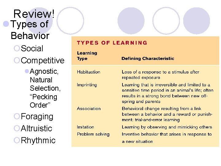 Review! l Types of Behavior ¡Social ¡Competitive l. Agnostic, Natural Selection, “Pecking Order” ¡Foraging Review! l Types of Behavior ¡Social ¡Competitive l. Agnostic, Natural Selection, “Pecking Order” ¡Foraging