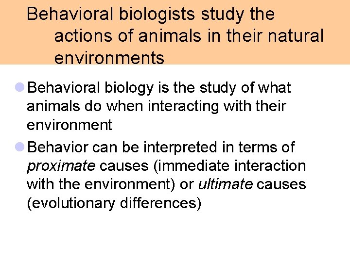 Behavioral biologists study the actions of animals in their natural environments l Behavioral Behavioral biologists study the actions of animals in their natural environments l Behavioral