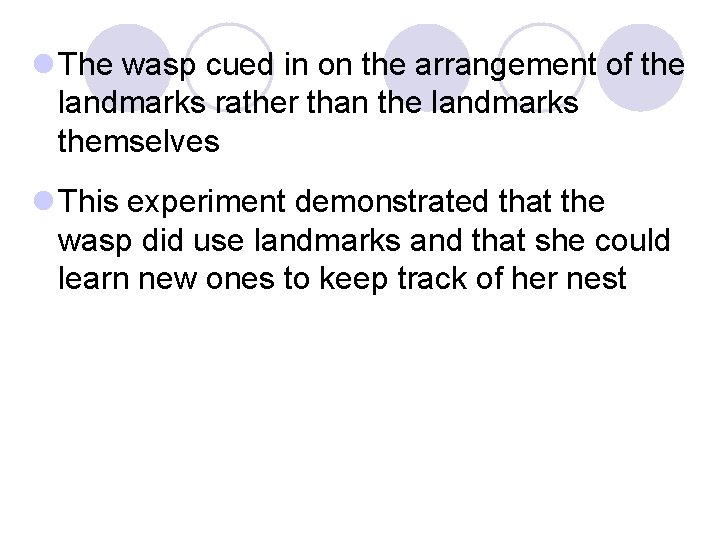 l The wasp cued in on the arrangement of the landmarks rather than the l The wasp cued in on the arrangement of the landmarks rather than the