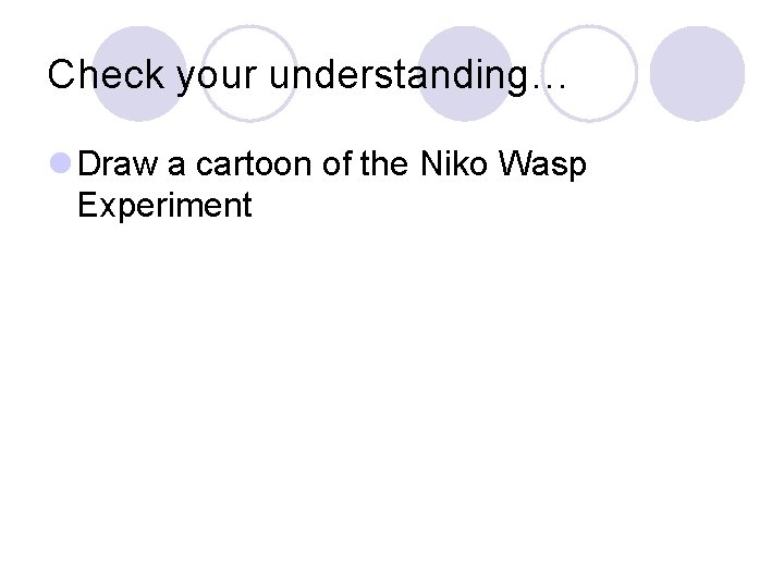 Check your understanding… l Draw a cartoon of the Niko Wasp Experiment Check your understanding… l Draw a cartoon of the Niko Wasp Experiment