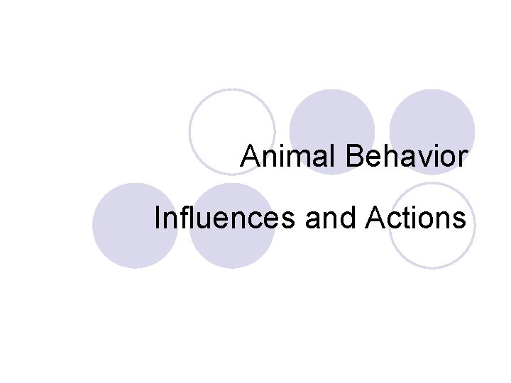 Animal Behavior Influences and Actions Animal Behavior Influences and Actions
