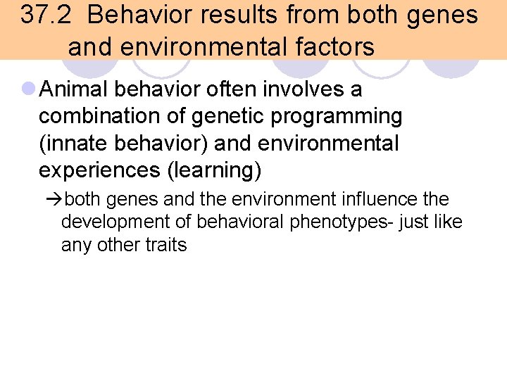 37. 2 Behavior results from both genes and environmental factors l Animal behavior often 37. 2 Behavior results from both genes and environmental factors l Animal behavior often