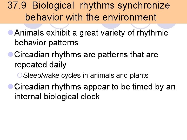37. 9 Biological rhythms synchronize behavior with the environment l Animals exhibit a great 37. 9 Biological rhythms synchronize behavior with the environment l Animals exhibit a great
