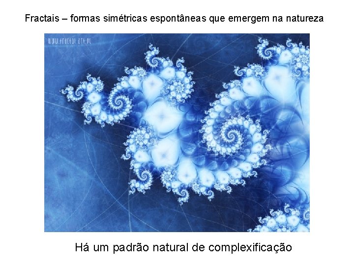 Fractais – formas simétricas espontâneas que emergem na natureza Há um padrão natural de