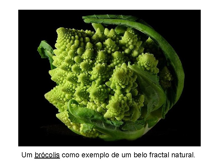 Um brócolis como exemplo de um belo fractal natural. 