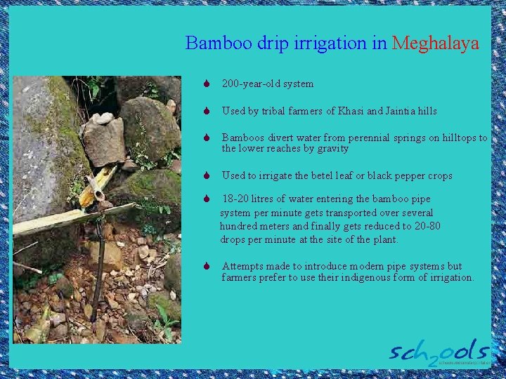 Bamboo drip irrigation in Meghalaya S 200 -year-old system S Used by tribal farmers