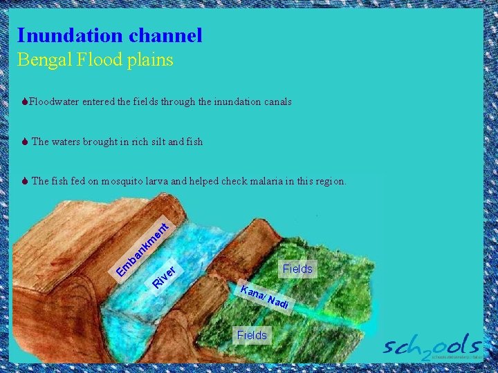 Inundation channel Bengal Flood plains SFloodwater entered the fields through the inundation canals S