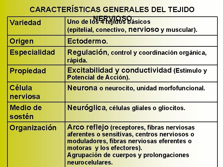 CARACTERÍSTICAS GENERALES DEL TEJIDO NERVIOSO Uno de los 4 tejidos básicos Variedad (epitelial, conectivo,