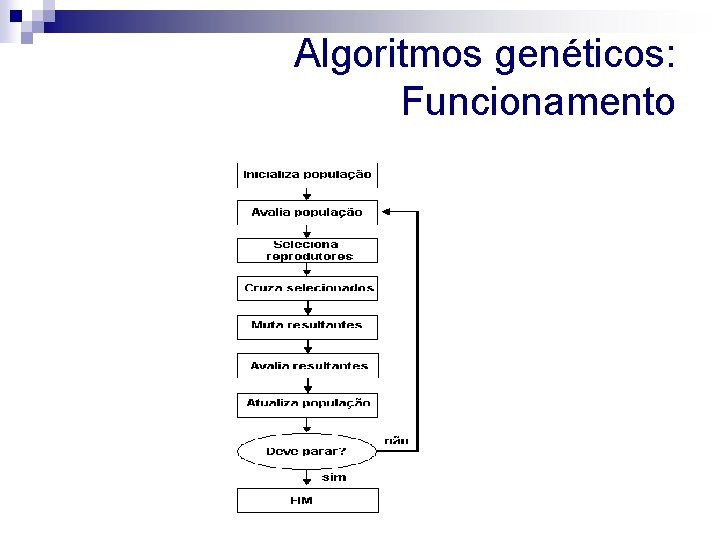 Algoritmos genéticos: Funcionamento 