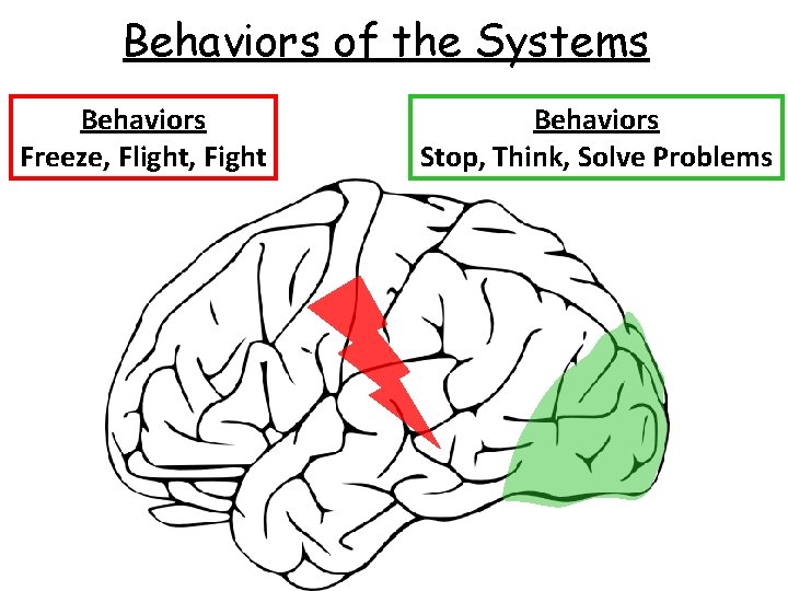 Behaviors of the Systems Behaviors Freeze, Flight, Fight Behaviors Stop, Think, Solve Problems 