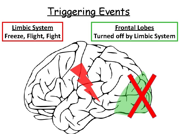 Triggering Events Limbic System Freeze, Flight, Fight Frontal Lobes Turned off by Limbic System