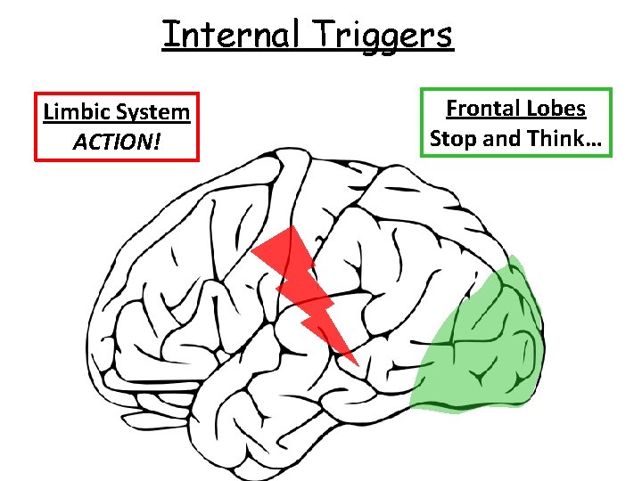 Internal Triggers Limbic System ACTION! Frontal Lobes Stop and Think… 