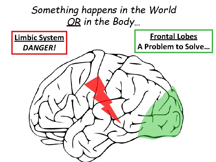 Something happens in the World OR in the Body… Limbic System DANGER! Frontal Lobes