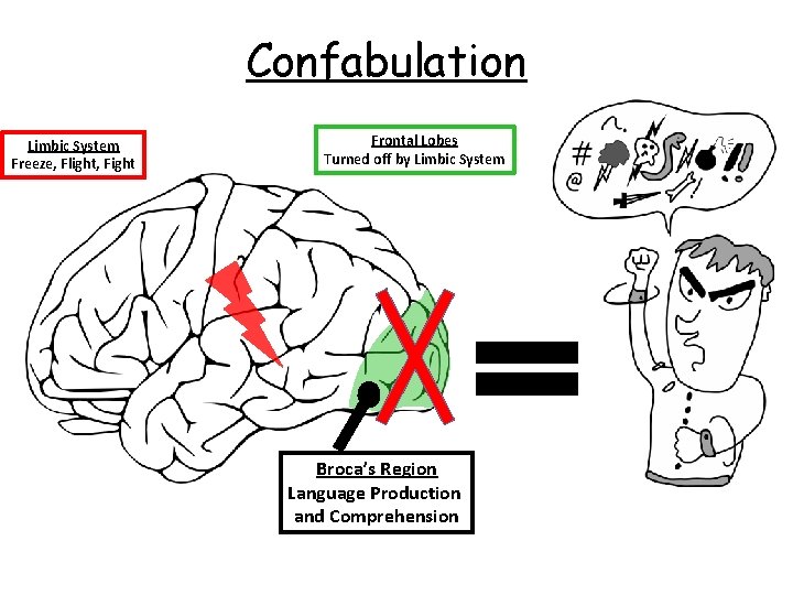 Confabulation Limbic System Freeze, Flight, Fight Frontal Lobes Turned off by Limbic System Broca’s