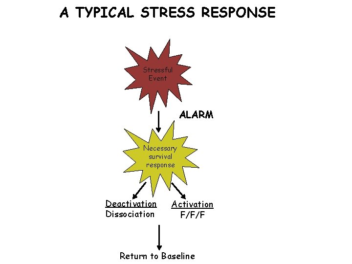 A TYPICAL STRESS RESPONSE Stressful Event ALARM Necessary survival response Deactivation Dissociation Activation F/F/F