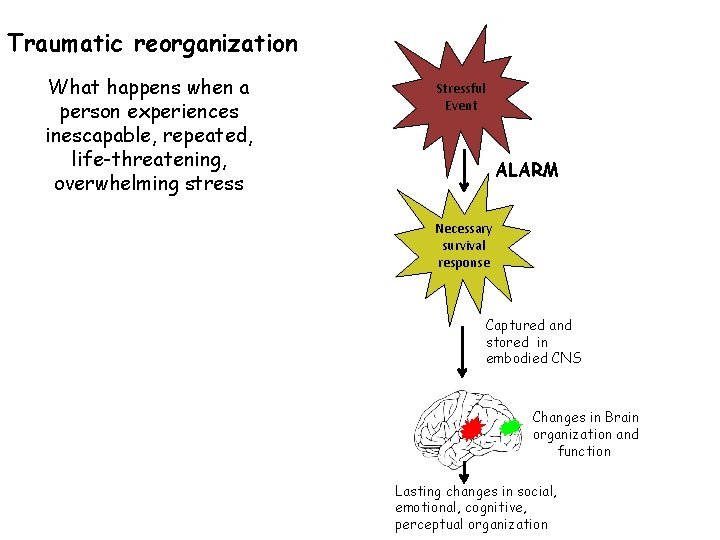 Traumatic reorganization What happens when a person experiences inescapable, repeated, life-threatening, overwhelming stress Stressful