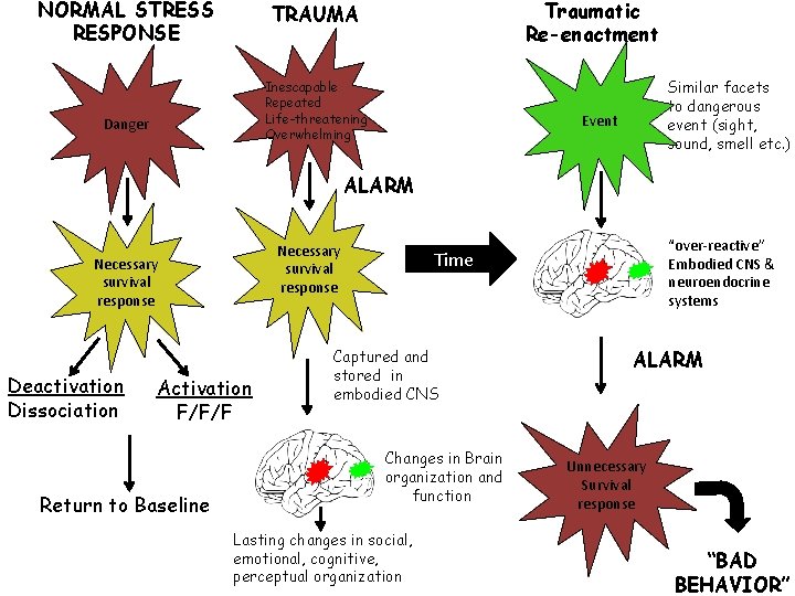 NORMAL STRESS RESPONSE Traumatic Re-enactment TRAUMA Inescapable Repeated Life-threatening Overwhelming Danger Similar facets to