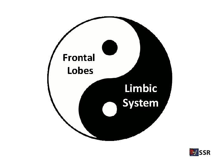 Frontal Lobes Limbic System 