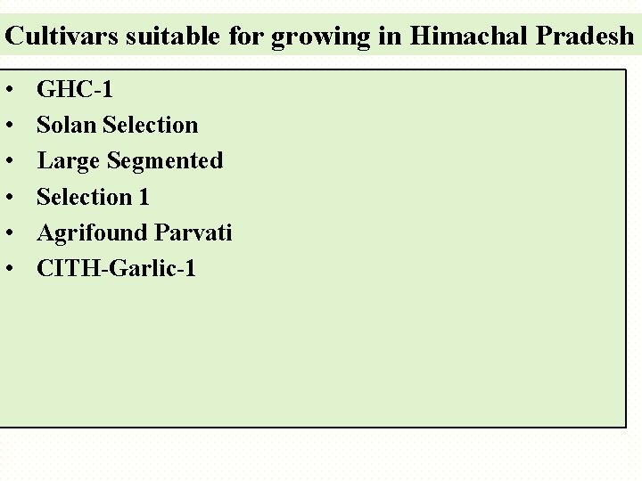 Cultivars suitable for growing in Himachal Pradesh • • • GHC-1 Solan Selection Large