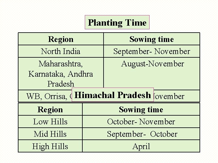 Planting Time Region Sowing time North India September- November Maharashtra, August-November Karnataka, Andhra Pradesh