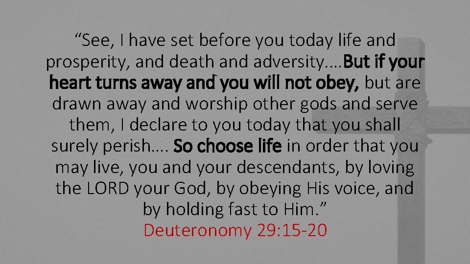 “See, I have set before you today life and prosperity, and death and adversity.