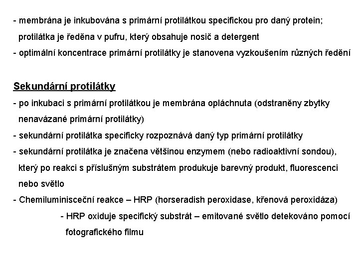 - membrána je inkubována s primární protilátkou specifickou pro daný protein; protilátka je ředěna