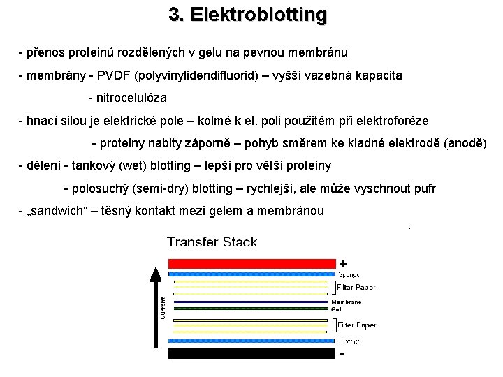 3. Elektroblotting - přenos proteinů rozdělených v gelu na pevnou membránu - membrány -