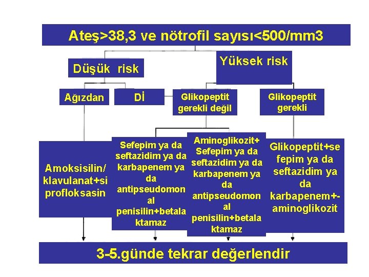 Ateş>38, 3 ve nötrofil sayısı<500/mm 3 Yüksek risk Düşük risk Ağızdan Dİ Glikopeptit gerekli