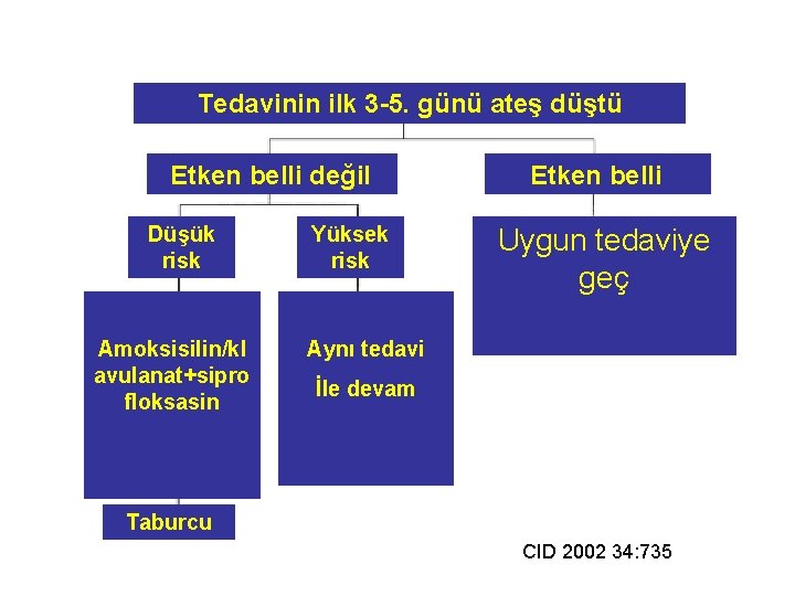 Tedavinin ilk 3 -5. günü ateş düştü Etken belli değil Düşük risk Amoksisilin/kl avulanat+sipro