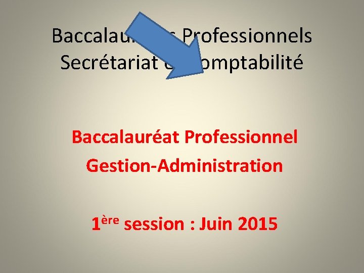 Baccalauréats Professionnels Secrétariat et Comptabilité Baccalauréat Professionnel Gestion-Administration 1ère session : Juin 2015 