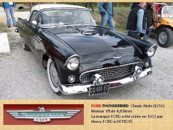 FORD THUNDERBIRD Classic Birds (1956) Moteur V 8 de 4, 8 litres La marque