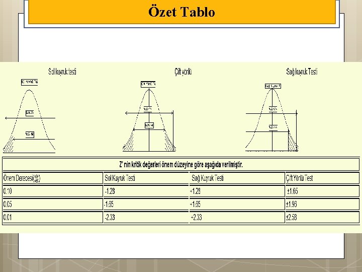 Özet Tablo 