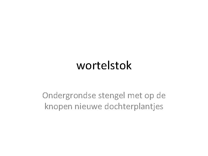 wortelstok Ondergrondse stengel met op de knopen nieuwe dochterplantjes 