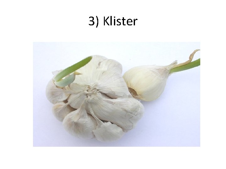 3) Klister 