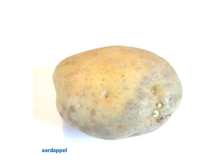 aardappel 