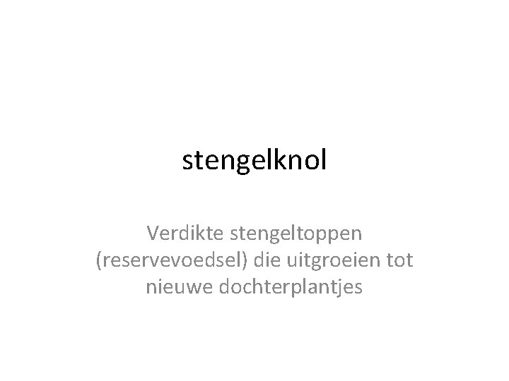 stengelknol Verdikte stengeltoppen (reservevoedsel) die uitgroeien tot nieuwe dochterplantjes 