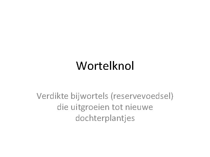 Wortelknol Verdikte bijwortels (reservevoedsel) die uitgroeien tot nieuwe dochterplantjes 