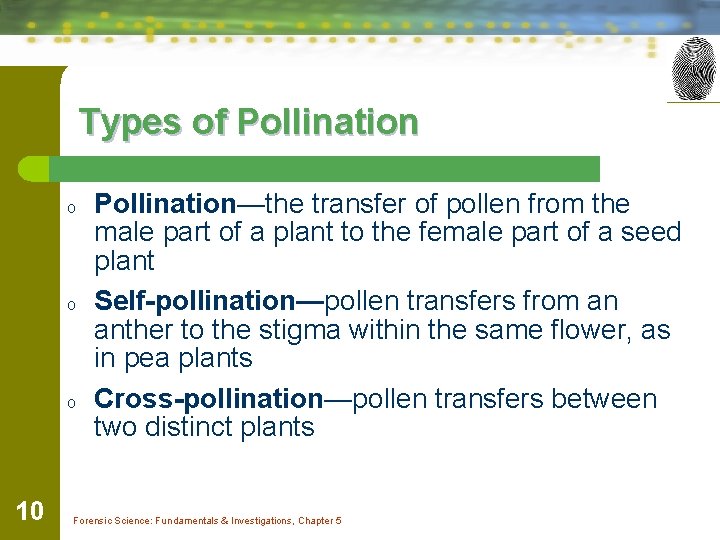 Types of Pollination o o o 10 Pollination—the transfer of pollen from the male