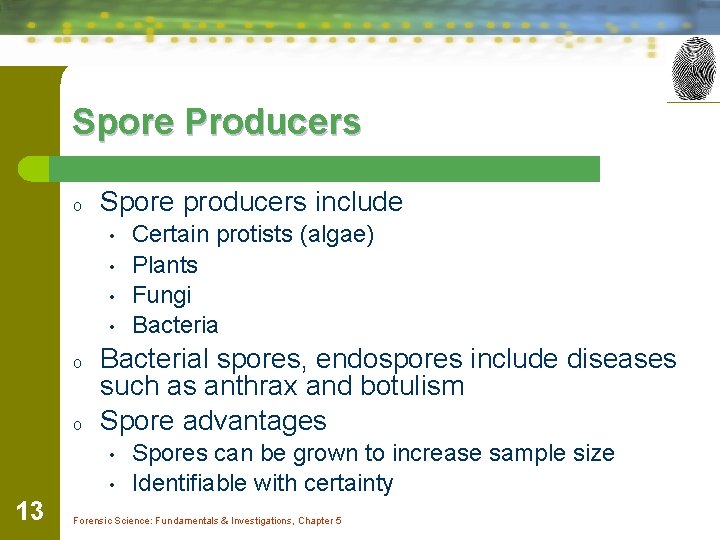 Spore Producers o Spore producers include • • o o Bacterial spores, endospores include