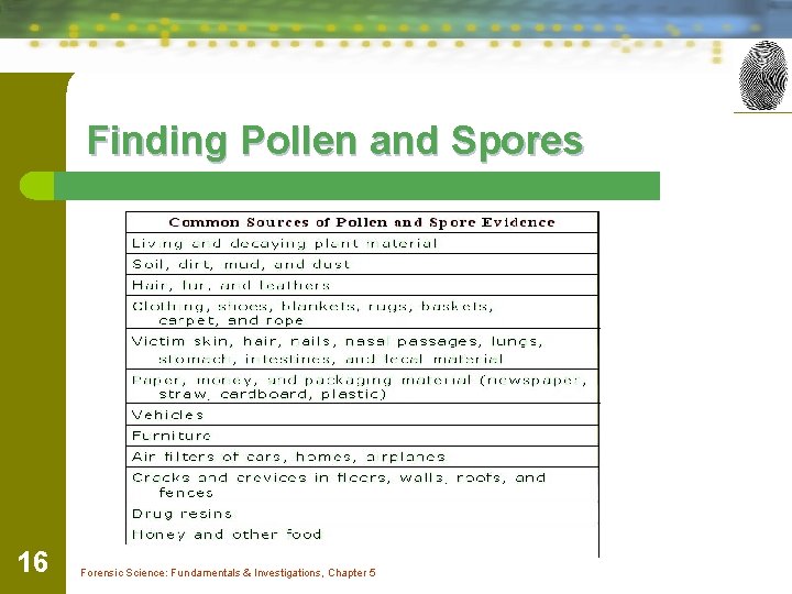 Finding Pollen and Spores 16 Forensic Science: Fundamentals & Investigations, Chapter 5 