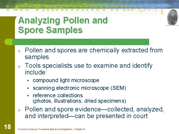 Analyzing Pollen and Spore Samples o o Pollen and spores are chemically extracted from