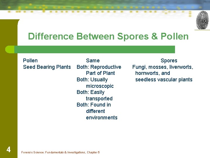 Difference Between Spores & Pollen Seed Bearing Plants 4 Same Both: Reproductive Part of
