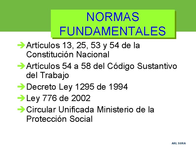 NORMAS FUNDAMENTALES èArtículos 13, 25, 53 y 54 de la Constitución Nacional èArtículos 54