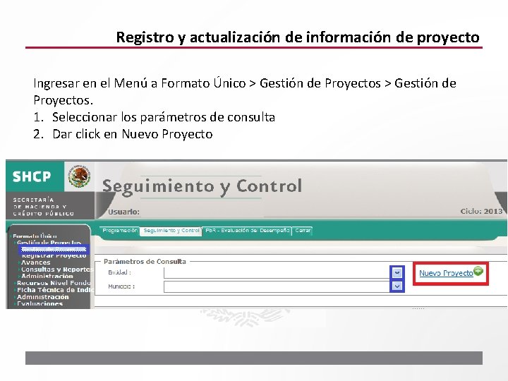 Registro y actualización de información de proyecto Ingresar en el Menú a Formato Único