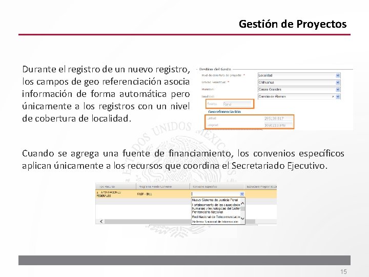 Gestión de Proyectos Durante el registro de un nuevo registro, los campos de geo