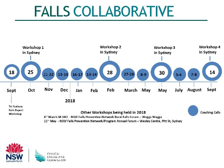 FALLS COLLABORATIVE 