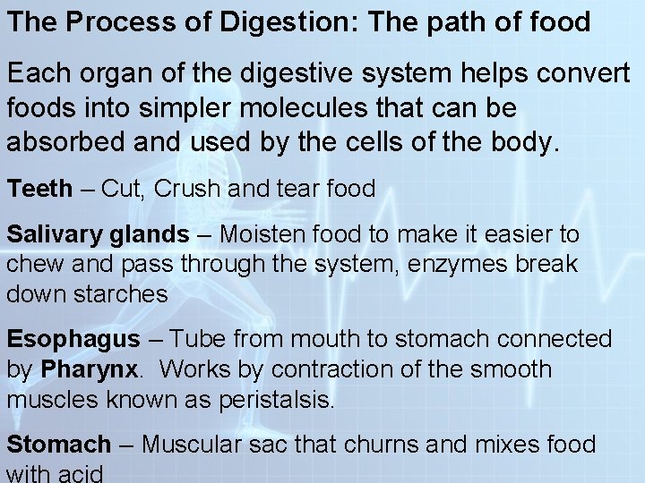The Process of Digestion: The path of food Each organ of the digestive system The Process of Digestion: The path of food Each organ of the digestive system