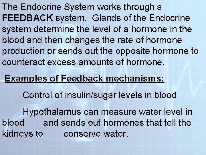 The Endocrine System works through a FEEDBACK system. Glands of the Endocrine system determine The Endocrine System works through a FEEDBACK system. Glands of the Endocrine system determine